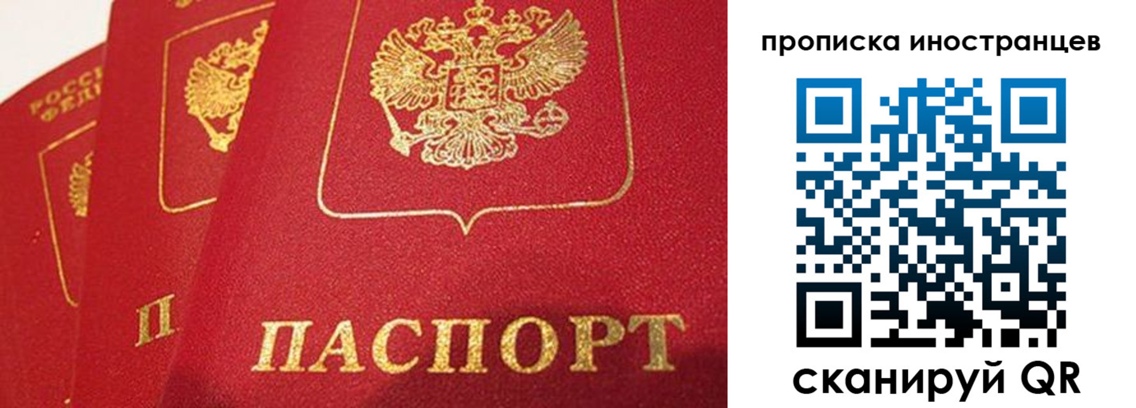 прописка поиск в Калмыкии